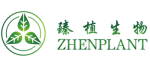 Zhenplant: Innovating Plant-Based Ingredients for Global Markets